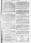 Pall Mall Gazette Monday 11 July 1887 Page 7