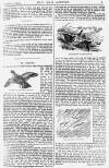 Pall Mall Gazette Friday 12 August 1887 Page 5