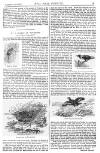 Pall Mall Gazette Saturday 26 November 1887 Page 5