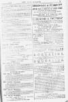Pall Mall Gazette Thursday 05 January 1888 Page 13