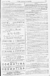 Pall Mall Gazette Tuesday 10 January 1888 Page 13