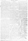 Pall Mall Gazette Monday 29 December 1890 Page 7