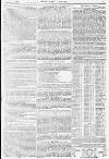 Pall Mall Gazette Monday 01 February 1892 Page 5