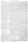 Pall Mall Gazette Saturday 04 March 1893 Page 3