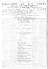 Pall Mall Gazette Saturday 24 June 1893 Page 12