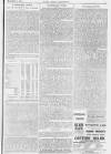 Pall Mall Gazette Tuesday 07 November 1893 Page 11