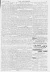 Pall Mall Gazette Friday 23 February 1894 Page 11