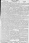 Pall Mall Gazette Monday 06 August 1894 Page 5