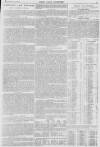 Pall Mall Gazette Tuesday 20 November 1894 Page 5