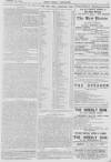 Pall Mall Gazette Saturday 29 December 1894 Page 3