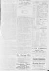 Pall Mall Gazette Wednesday 26 February 1896 Page 9
