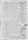 Pall Mall Gazette Friday 01 January 1897 Page 3
