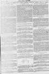 Pall Mall Gazette Tuesday 02 February 1897 Page 7