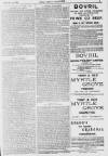 Pall Mall Gazette Wednesday 24 February 1897 Page 3