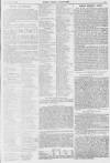 Pall Mall Gazette Tuesday 23 March 1897 Page 5