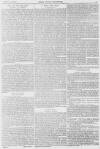 Pall Mall Gazette Saturday 27 March 1897 Page 3