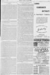 Pall Mall Gazette Tuesday 01 March 1898 Page 11