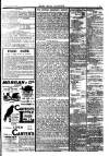 Pall Mall Gazette Friday 01 February 1901 Page 11