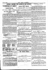 Pall Mall Gazette Thursday 04 July 1907 Page 7