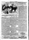 Pall Mall Gazette Saturday 06 January 1912 Page 5