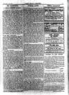 Pall Mall Gazette Friday 12 January 1912 Page 5