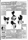 Pall Mall Gazette Thursday 29 May 1913 Page 11