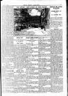 Pall Mall Gazette Saturday 05 July 1913 Page 7