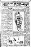 Pall Mall Gazette Wednesday 21 January 1920 Page 11