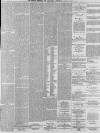 Preston Chronicle Saturday 15 January 1876 Page 5