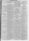 Reynolds's Newspaper Sunday 13 October 1850 Page 11