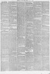 Reynolds's Newspaper Sunday 21 May 1882 Page 3