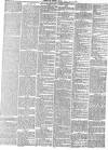 Exeter Flying Post Wednesday 19 May 1880 Page 3