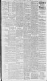 Exeter Flying Post Saturday 02 May 1896 Page 3