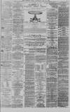 Western Mail Saturday 15 May 1875 Page 3