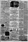 Western Mail Saturday 06 January 1877 Page 3