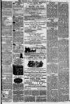 Western Mail Wednesday 10 January 1877 Page 3