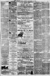 Western Mail Friday 12 January 1877 Page 3