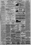 Western Mail Tuesday 30 January 1877 Page 3