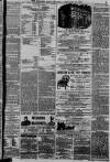 Western Mail Saturday 10 February 1877 Page 3