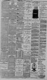 Western Mail Friday 02 January 1891 Page 3