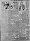 Western Mail Tuesday 03 April 1894 Page 5