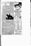 Western Mail Tuesday 03 February 1925 Page 17