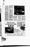Western Mail Monday 18 January 1954 Page 17
