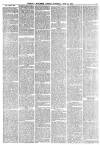 Worcester Journal Saturday 12 June 1875 Page 3