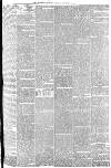 Blackburn Standard Saturday 04 September 1880 Page 5