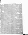 Bradford Observer Saturday 17 November 1877 Page 7