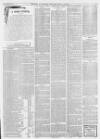 Bury and Norwich Post Tuesday 29 March 1898 Page 3