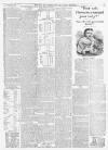 Bury and Norwich Post Tuesday 03 January 1899 Page 3