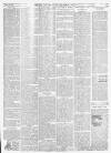 Bury and Norwich Post Tuesday 23 May 1899 Page 3