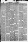 Cheshire Observer Saturday 28 January 1871 Page 3